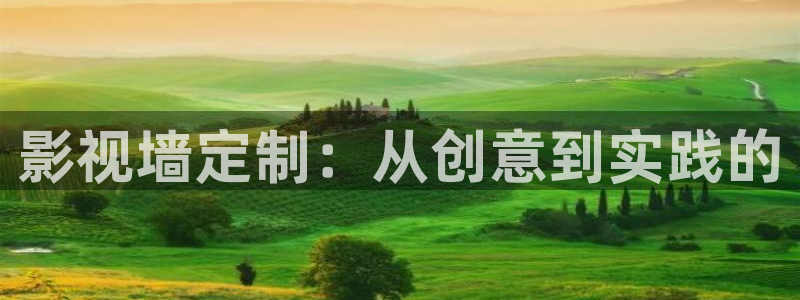 金桔影视在线观看：影视墙定制：从创意到实践的