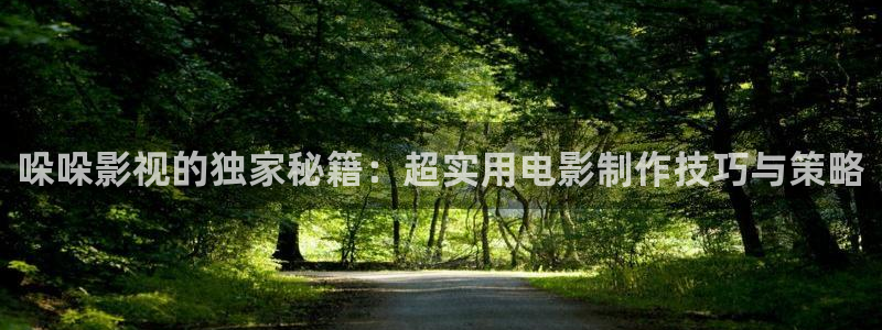 金桔电影：哚哚影视的独家秘籍：超实用电影制作技巧与策略