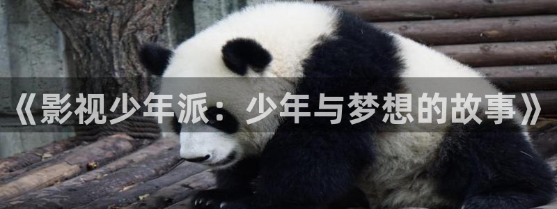 下载金桔影视：《影视少年派：少年与梦想的故事》