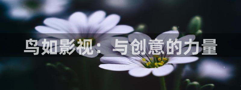 金桔影院：鸟如影视：与创意的力量