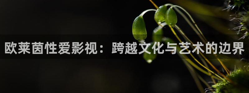 金桔视频下载：欧莱茵性爱影视：跨越文化与艺术的边界